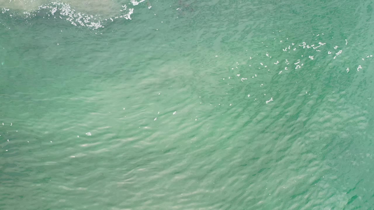 Green ocean surface in Los Cabos, Mexico, with small white sun glints and a faint wave band across the upper frame, no visible people.