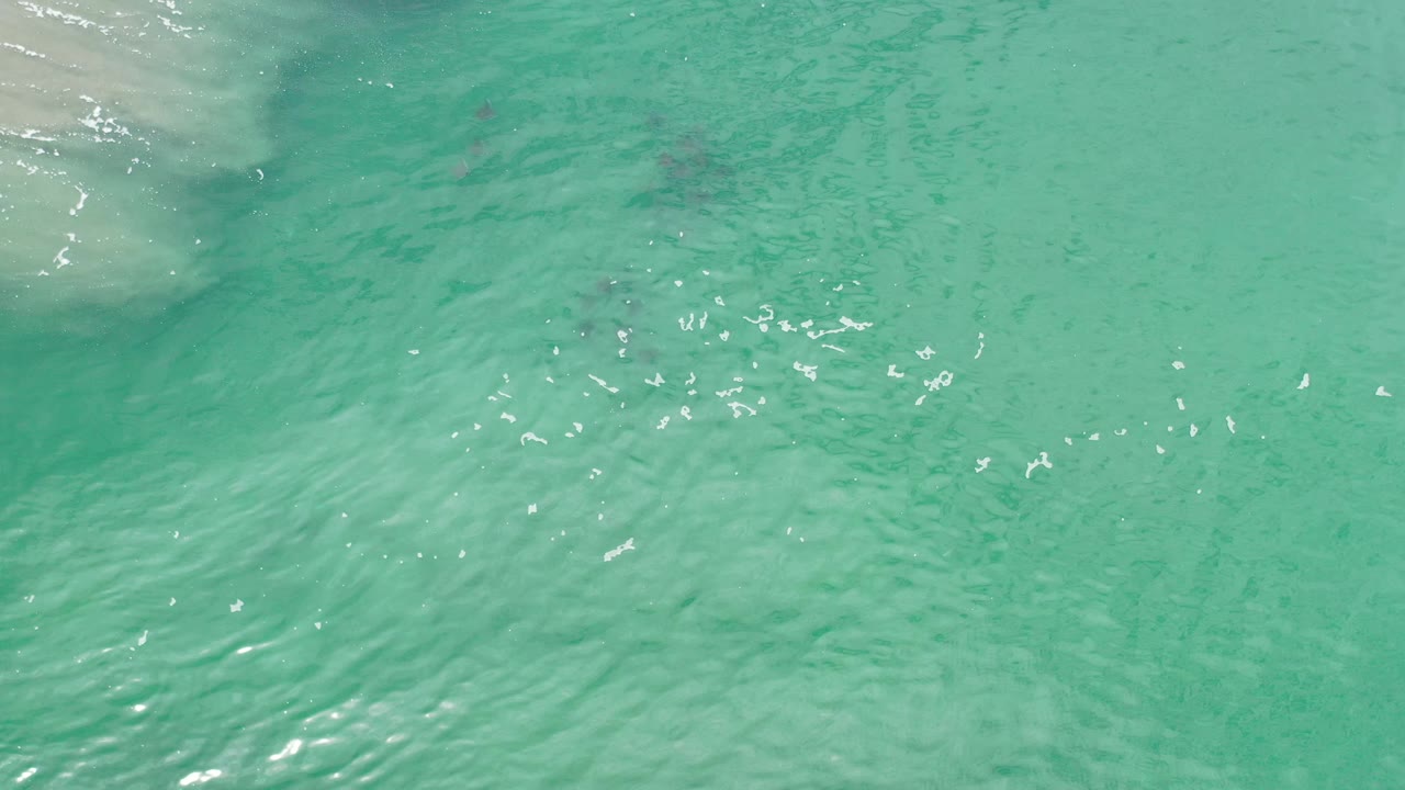 Turquoise coastal water with small bright reflections