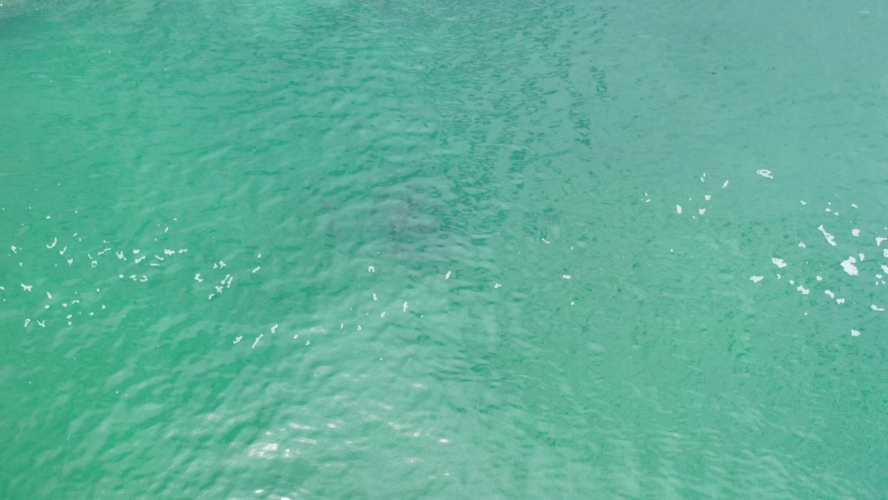 Turquoise ocean water with ripples and sun glints.