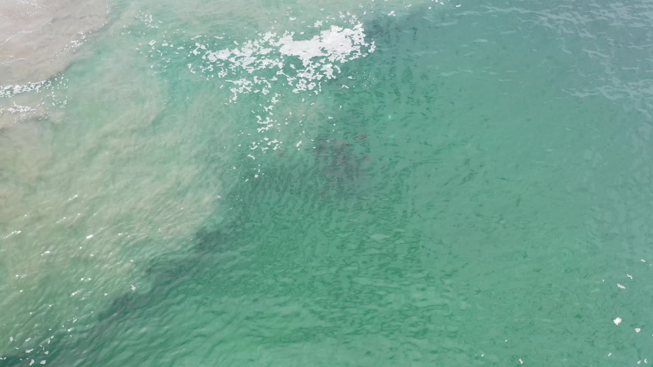 Aerial view of Los Cabos green sea with a bright foam patch near the upper center, faint darker water texture below, and no visible people.