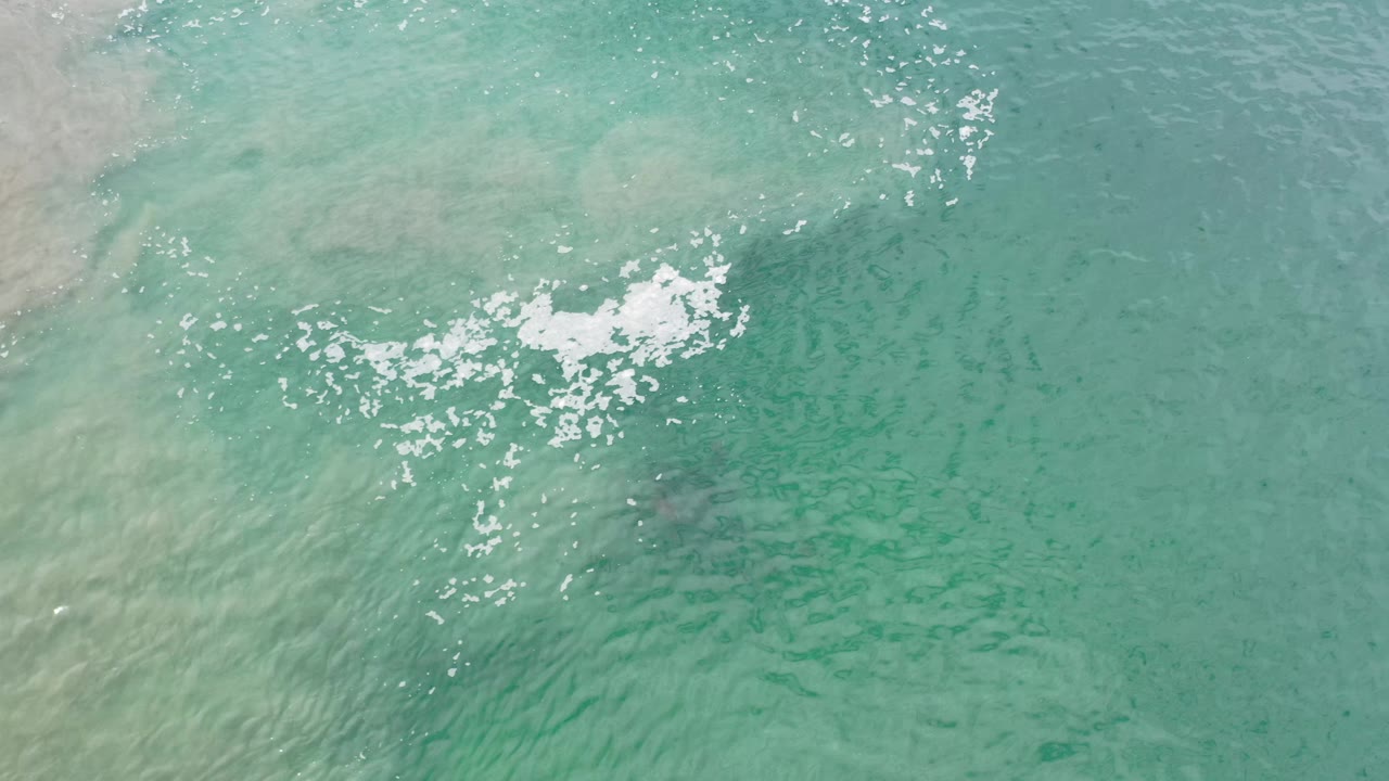 Overhead Los Cabos water detail with white foam spreading across the center-left, pale sediment near the upper left, and no visible people.