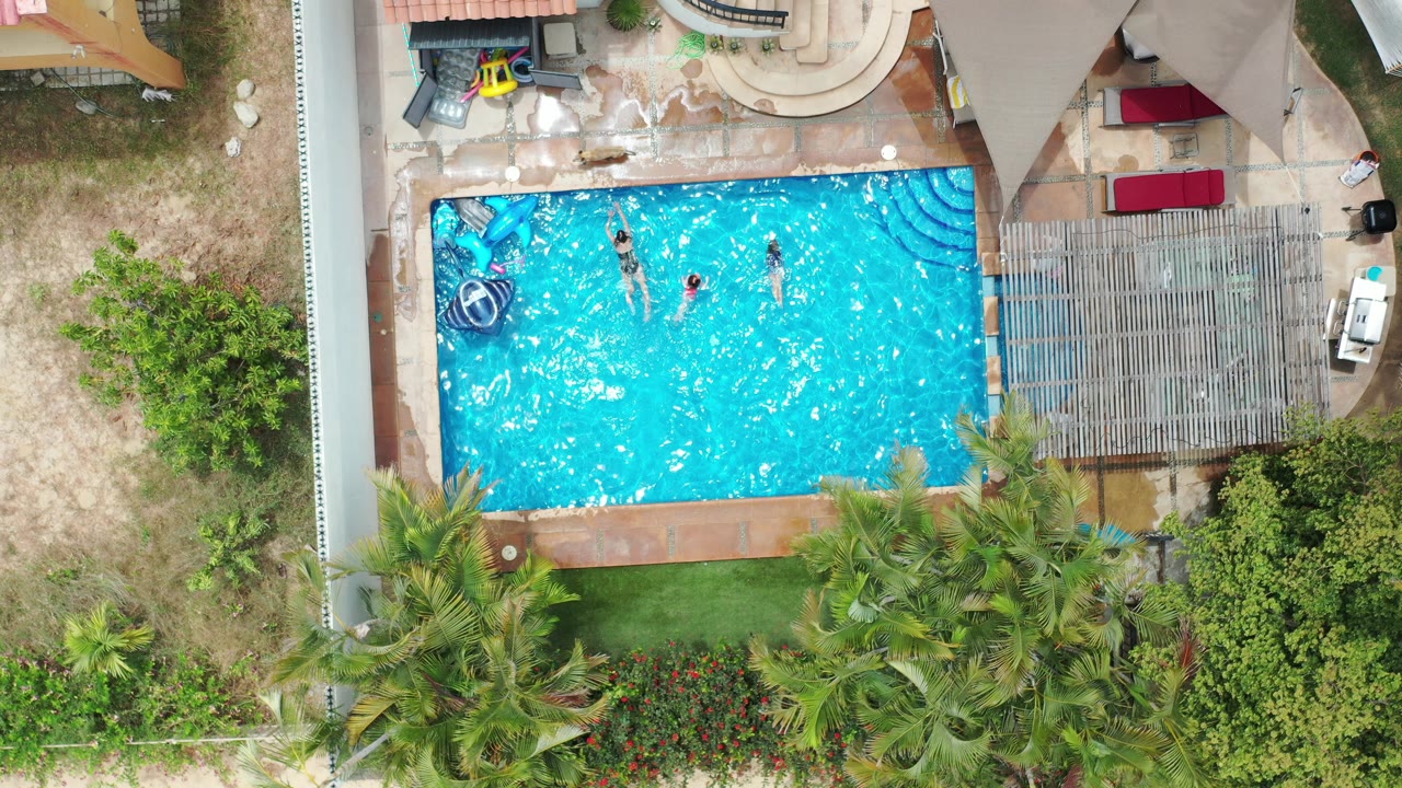 Overhead view of swimmers in a rectangular pool beside palms and patio furniture.