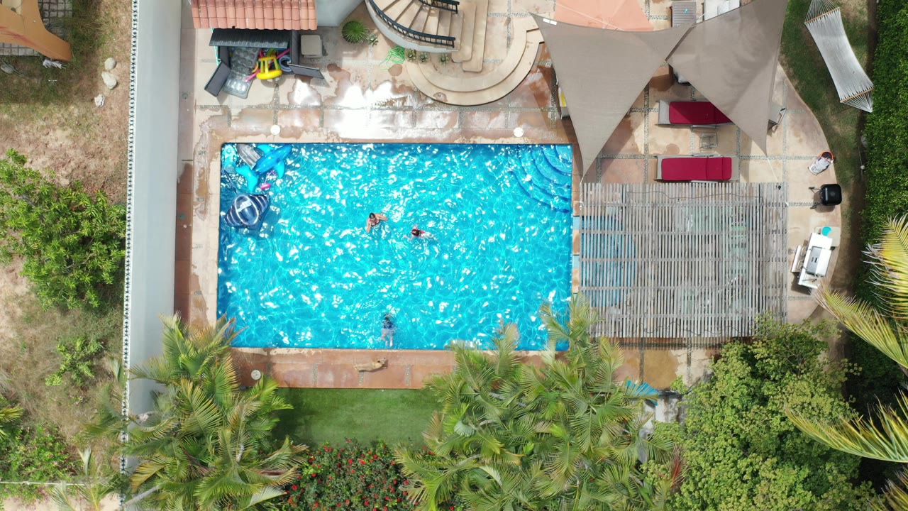 Overhead view of three people swimming in a backyard pool.