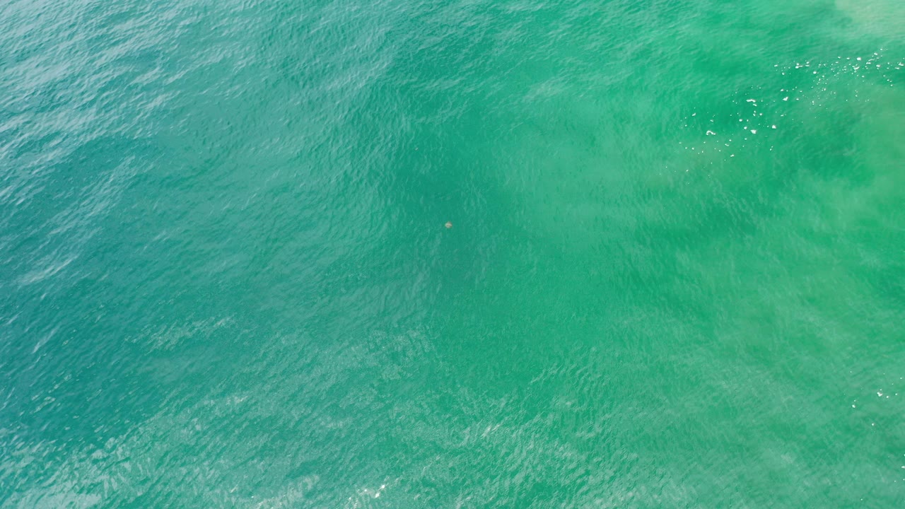 Overhead view of turquoise and green ocean water in Los Cabos with soft ripples, faint darker patches below the surface, and no visible people.