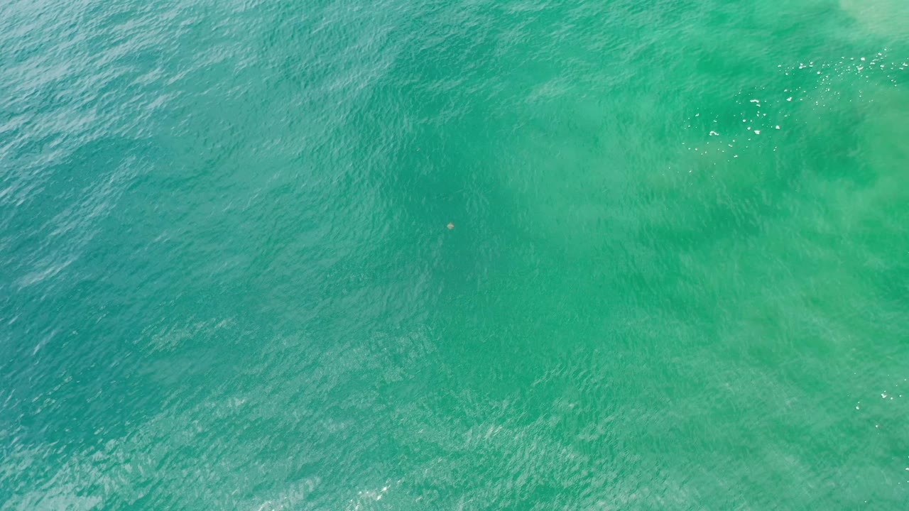 Overhead Los Cabos ocean frame with green-blue water, small white sun glints near the upper area, and no visible people.