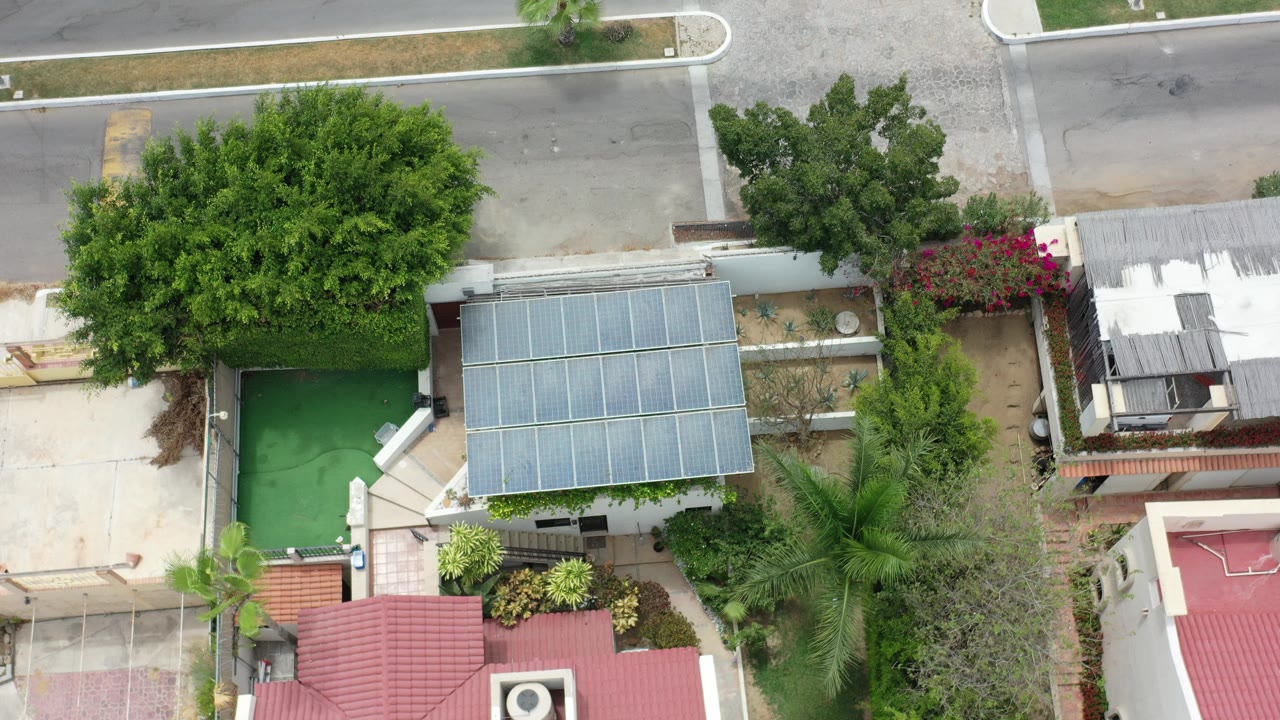 Top-down aerial frame in Los Cabos, Mexico showing a small building with a gridded roof, green courtyard, dense tree canopy, adjacent road, and no visible people.