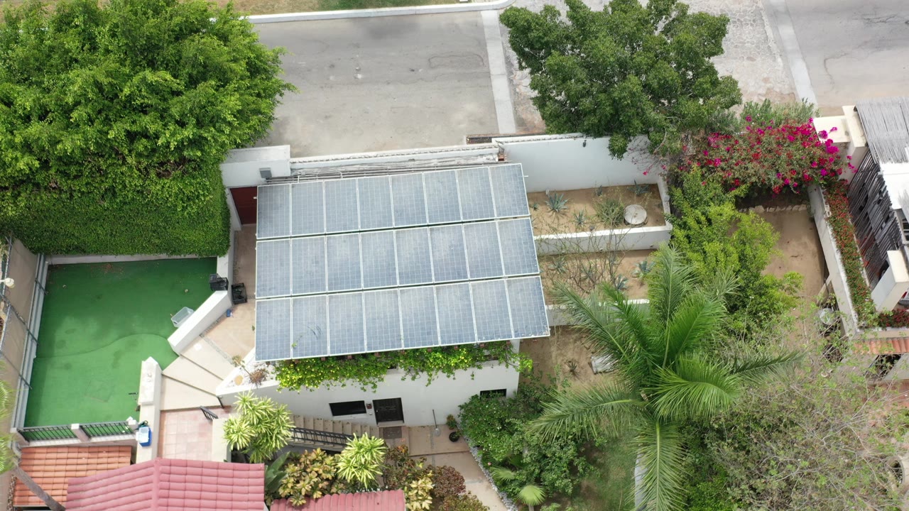 Aerial Los Cabos frame with the panel-covered roof centered, the green pool on the left, a street above the boundary wall, flowering shrubs, palms, and no visible people.