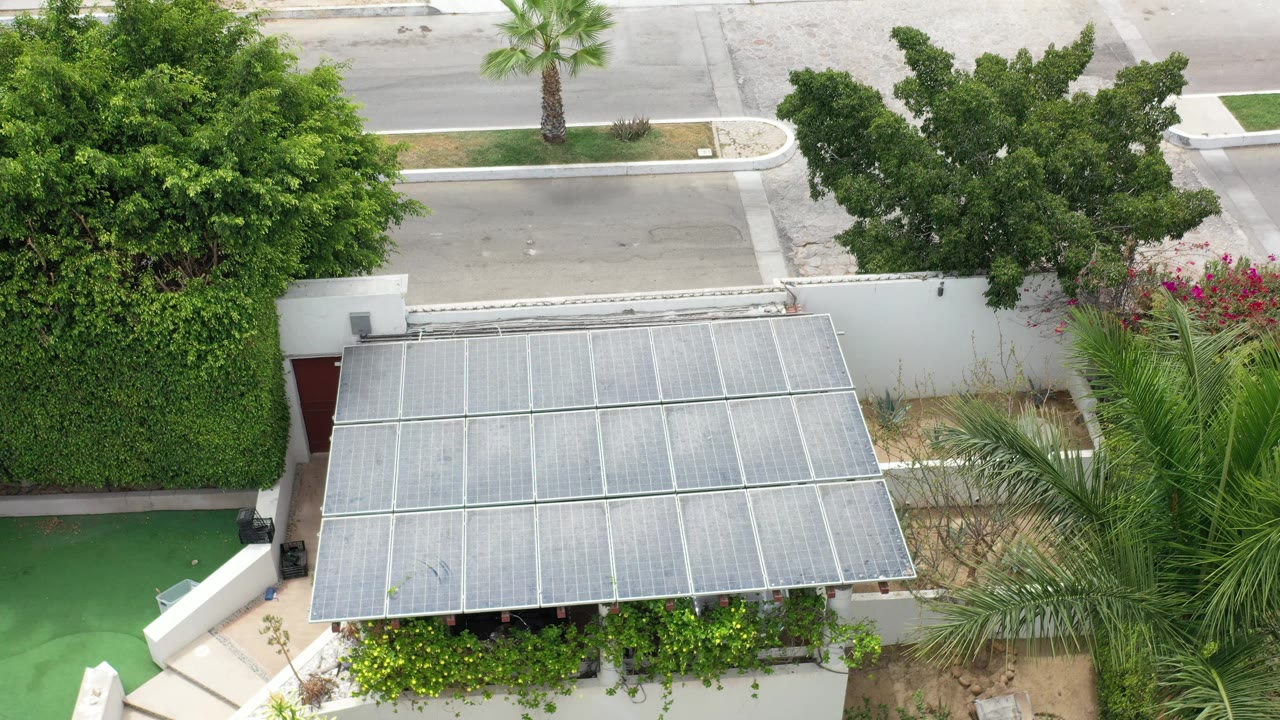 Drone-like overhead angle on a house canopy, palm leaves, hedges, and street.