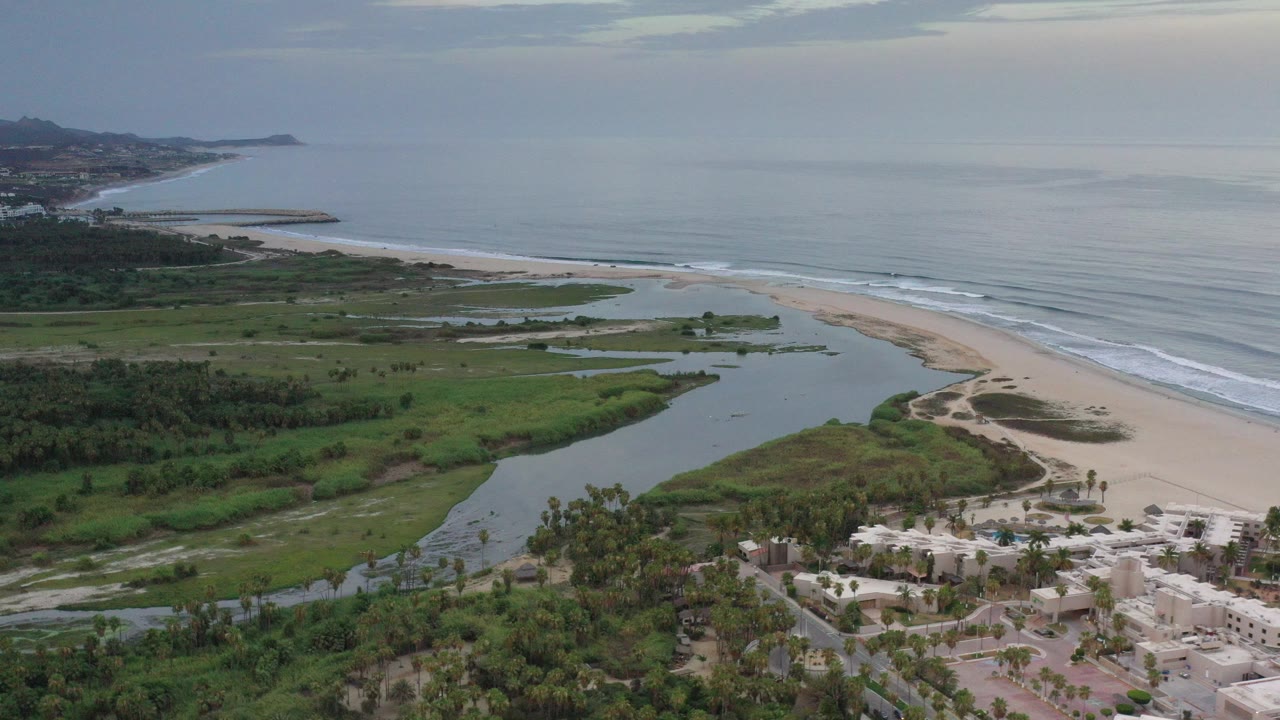 Aerial view of green coastal wetlands, sandy beach, and calm ocean.
