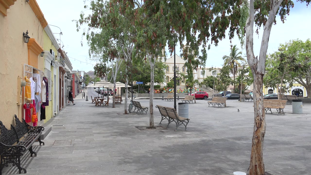 Opening frame of a Los Cabos paved plaza with benches under tall trees, storefronts on the left, parked cars across the street, and no clearly visible people.