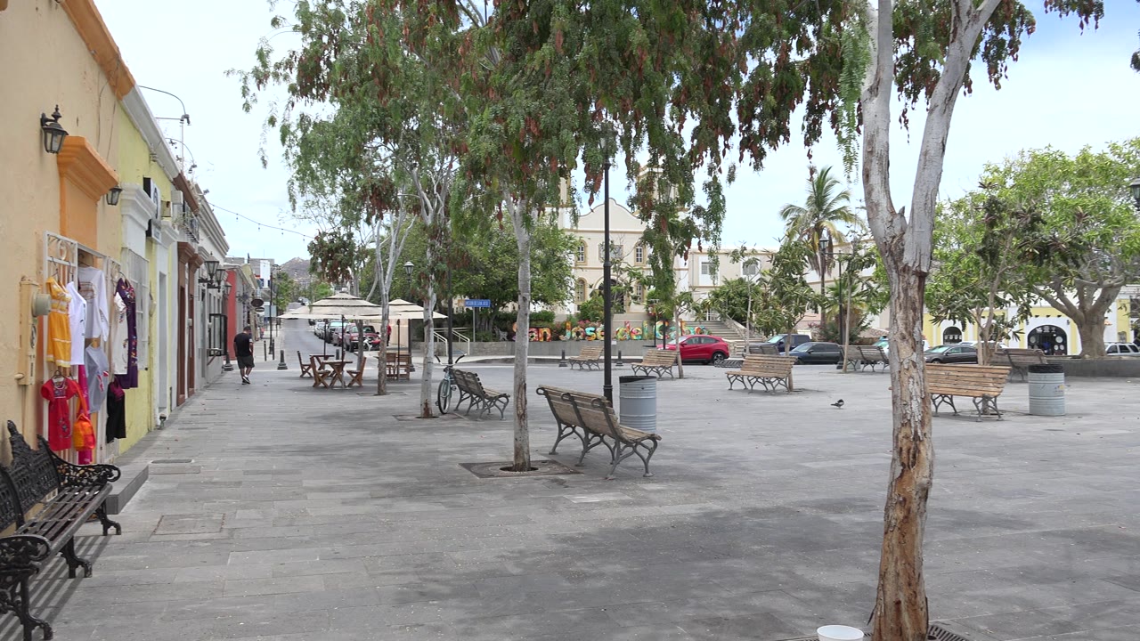 Benches and trees in a paved plaza with buildings beyond.