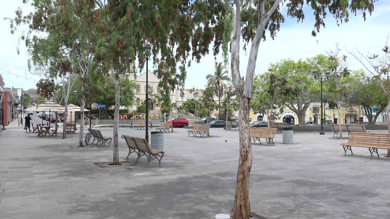 Shaded paved plaza with trees, benches, trash cans, cars, and distant buildings.