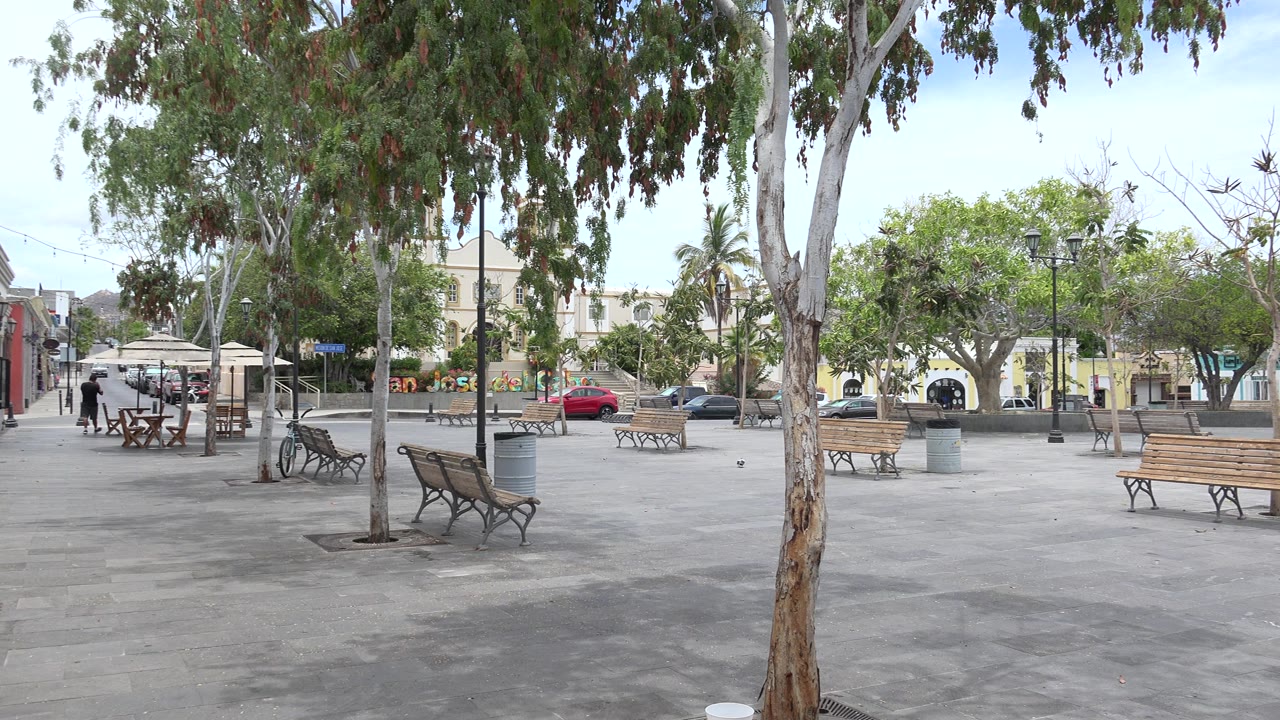 Early frame of the Los Cabos park area showing a foreground tree trunk, several empty benches, a gray trash can, distant parked cars, low buildings, and no visible people.