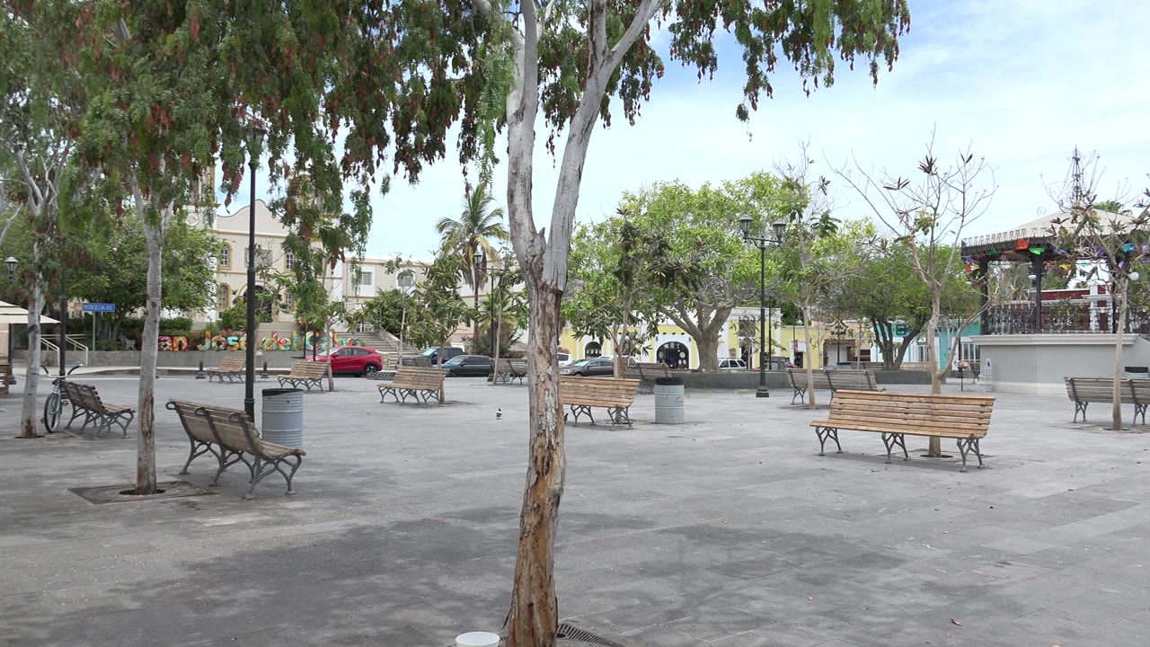 Opening frame of a Los Cabos cement plaza framed by leafy trees, wood benches, parked cars, and distant town buildings with no visible people.