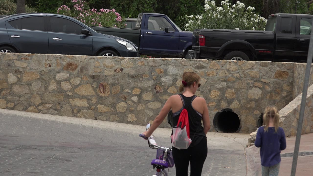 Woman with bicycle and child walking beside a road.
