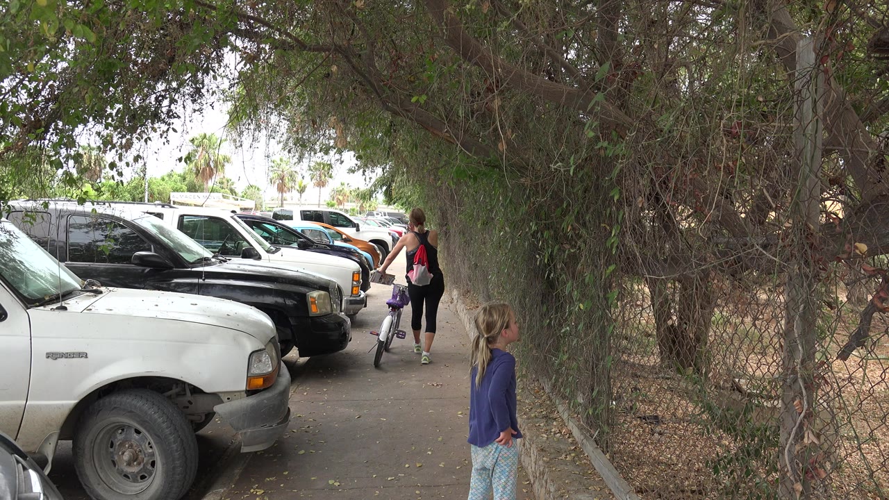 Girl and woman with bicycle on a shaded sidewalk beside parked trucks.