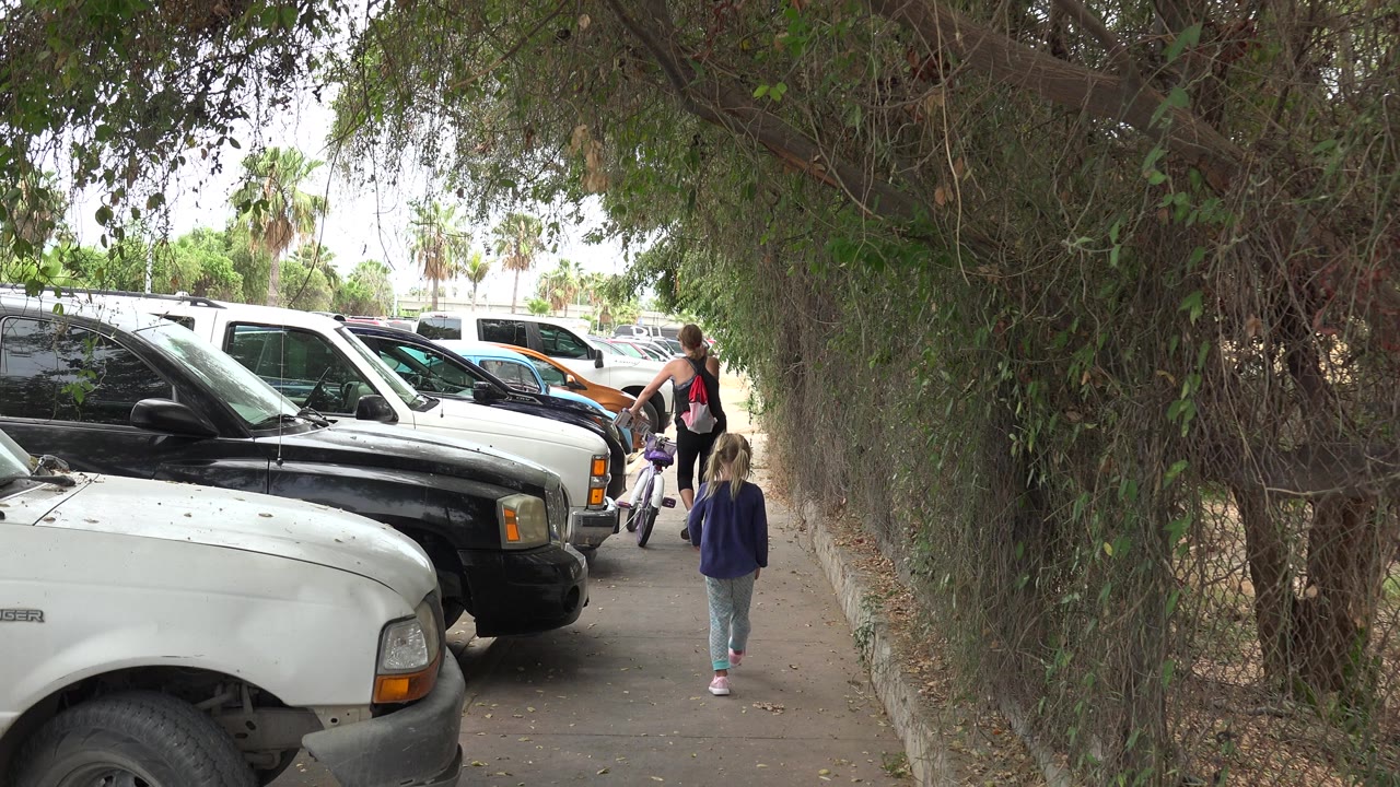 Woman and child walking beside parked cars and hanging trees.