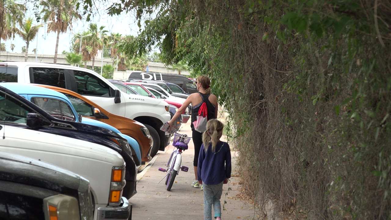 The Los Cabos sidewalk scene holds on the woman, child, and purple bicycle moving between parked vehicles and hanging green foliage.
