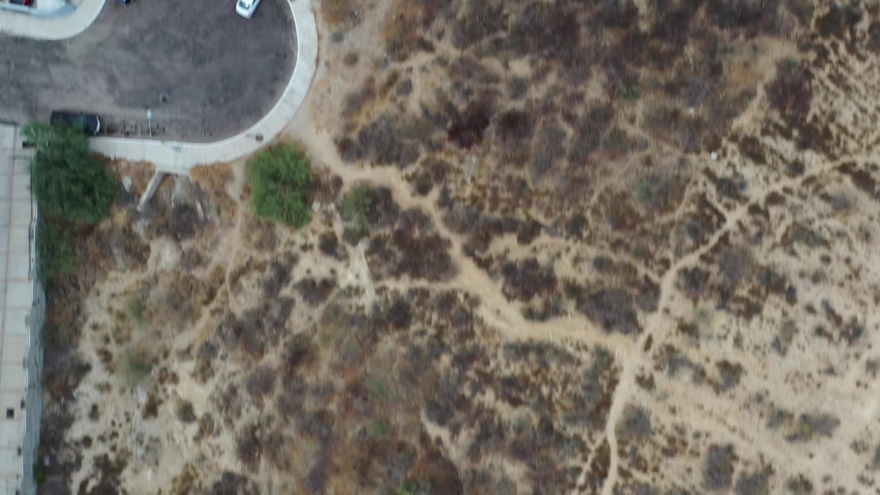 Straight overhead frame in Los Cabos, Mexico with dry scrubland and intersecting dirt paths dominating the view, plus a paved road edge and sidewalk at the left with no visible people.