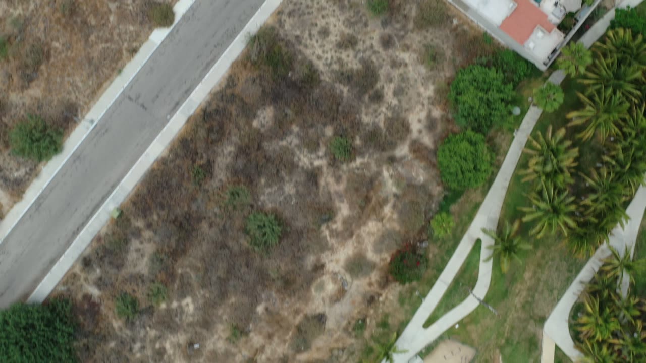Overhead view of a residential road beside dry lots and palm landscaping.