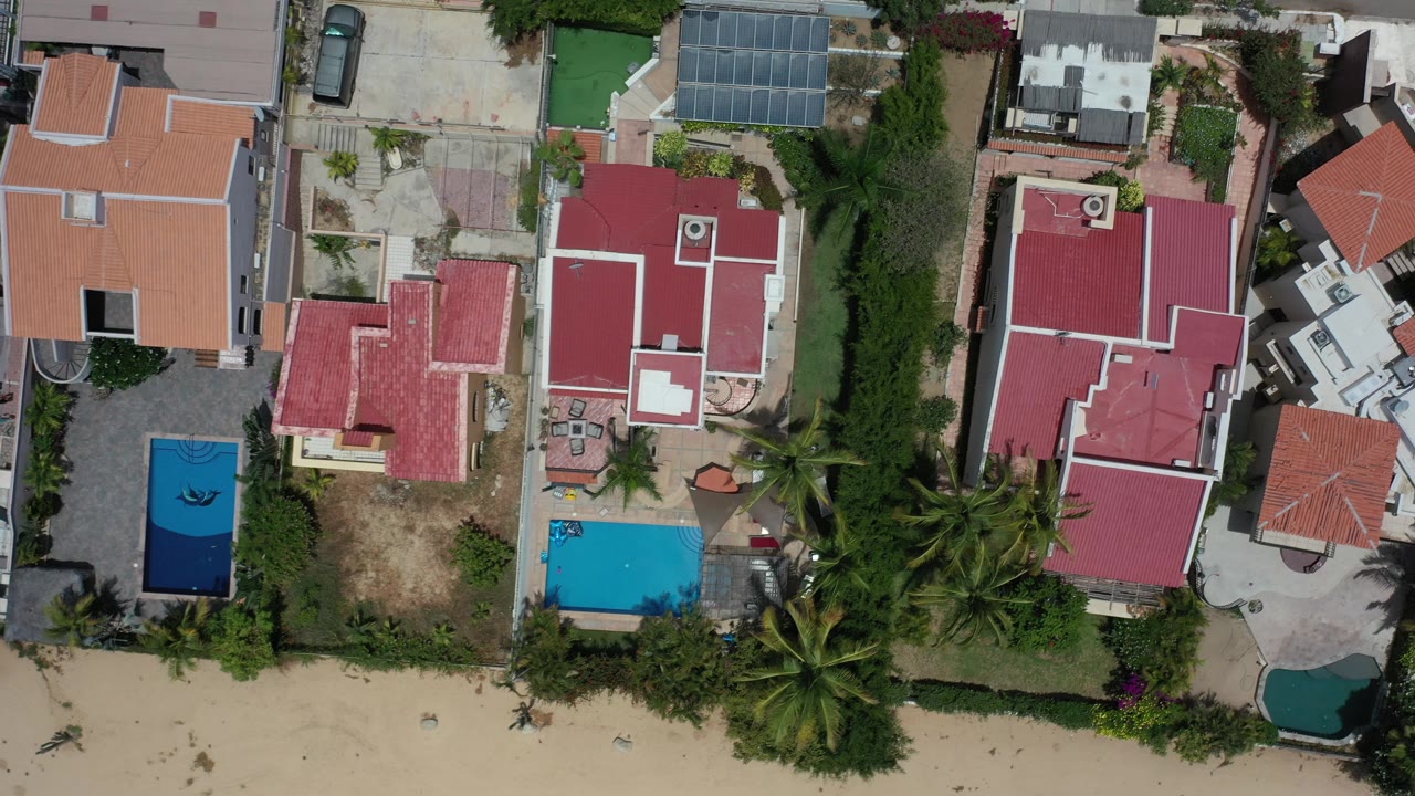 Top-down coastal neighborhood with pools and palms