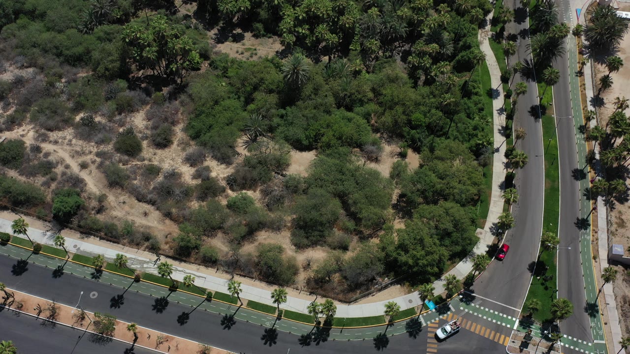 Overhead view of curving roads beside dry scrub and palms