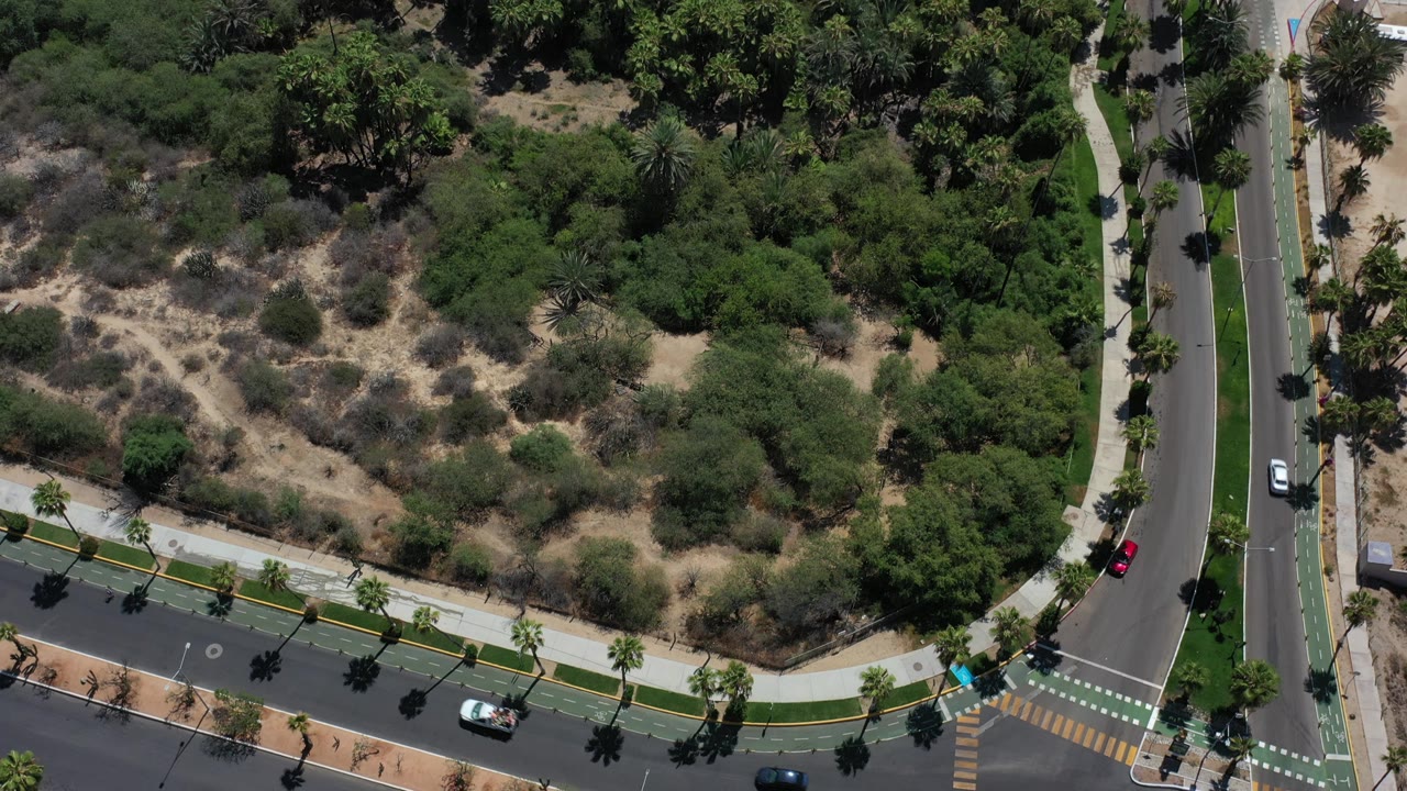 Aerial view of intersection edge with cars and bushes