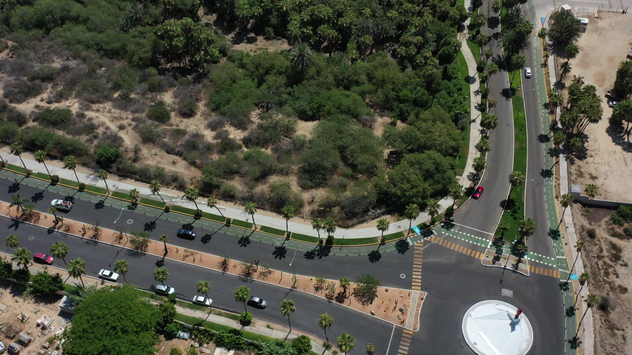 High aerial view in Los Cabos, Mexico, showing a curved road, a vertical road, a white roundabout edge, cars, palm-lined medians, dry lots, and no visible people.