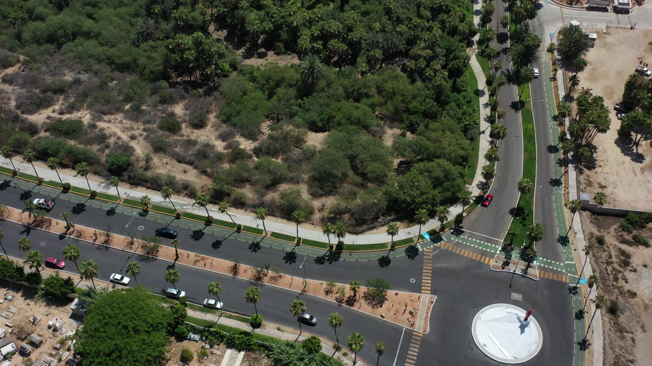 Drone view of a palm-lined road, small cars, scrub vegetation, and a roundabout edge.