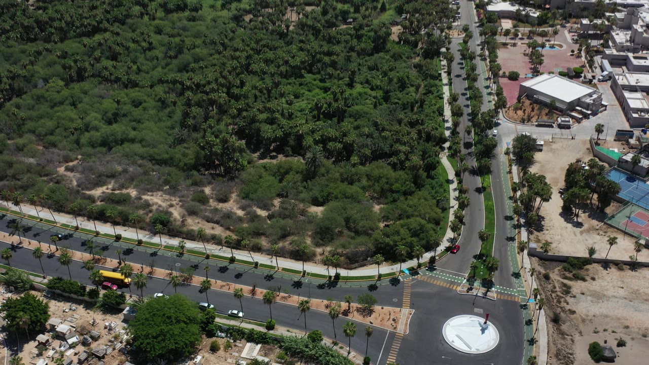 Overhead Los Cabos view with a straight road crossing a tree-lined street, sports courts to the right, thick vegetation behind, and no visible people.