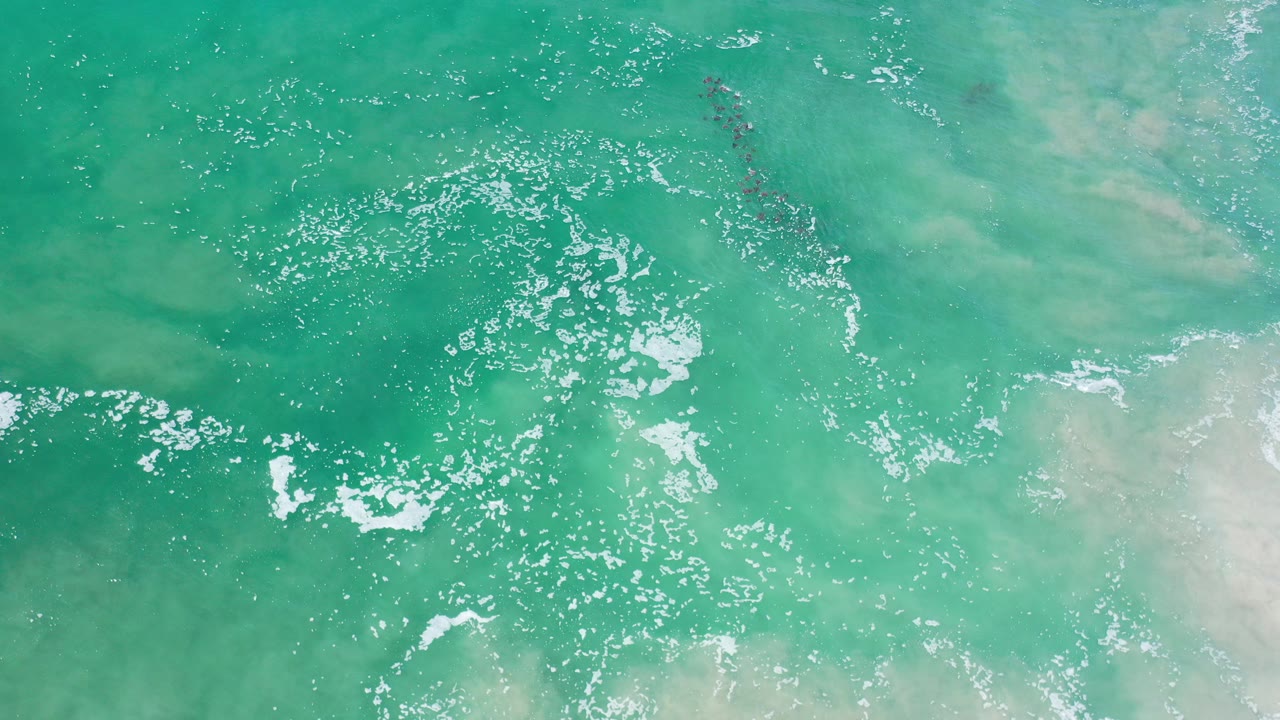 Overhead view of turquoise open water in Los Cabos, Mexico, with sun glitter across the surface, faint pale underwater patches, small dark marine animals near the upper right, and no visible people.