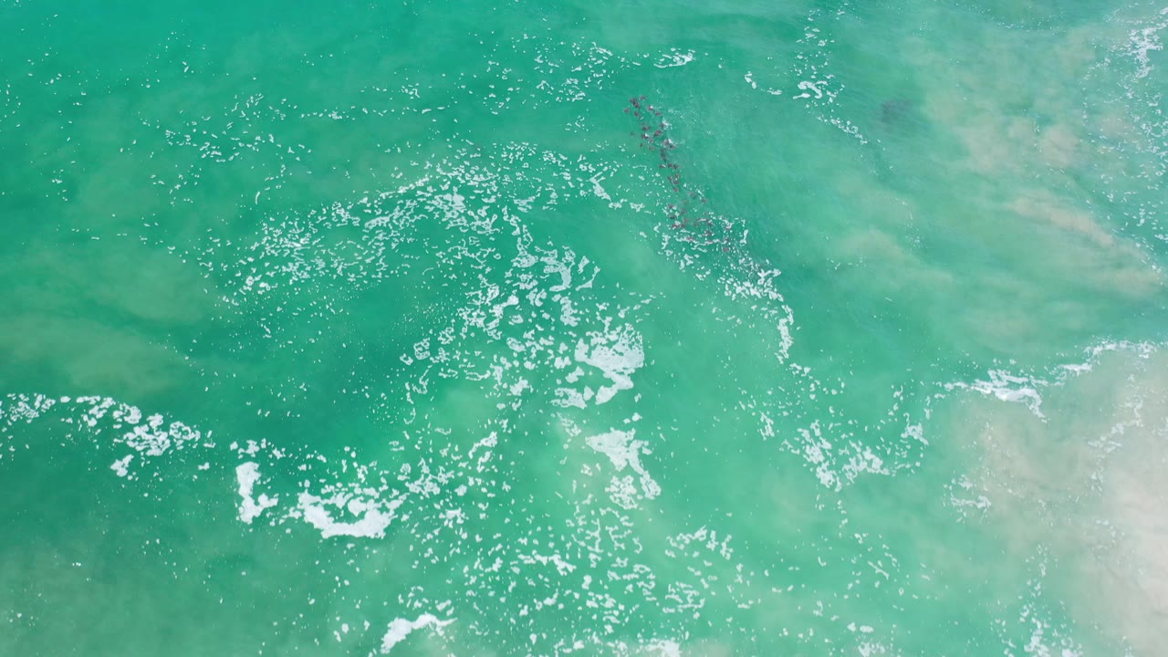 Bright turquoise water with ripples and faint marine animals beneath.