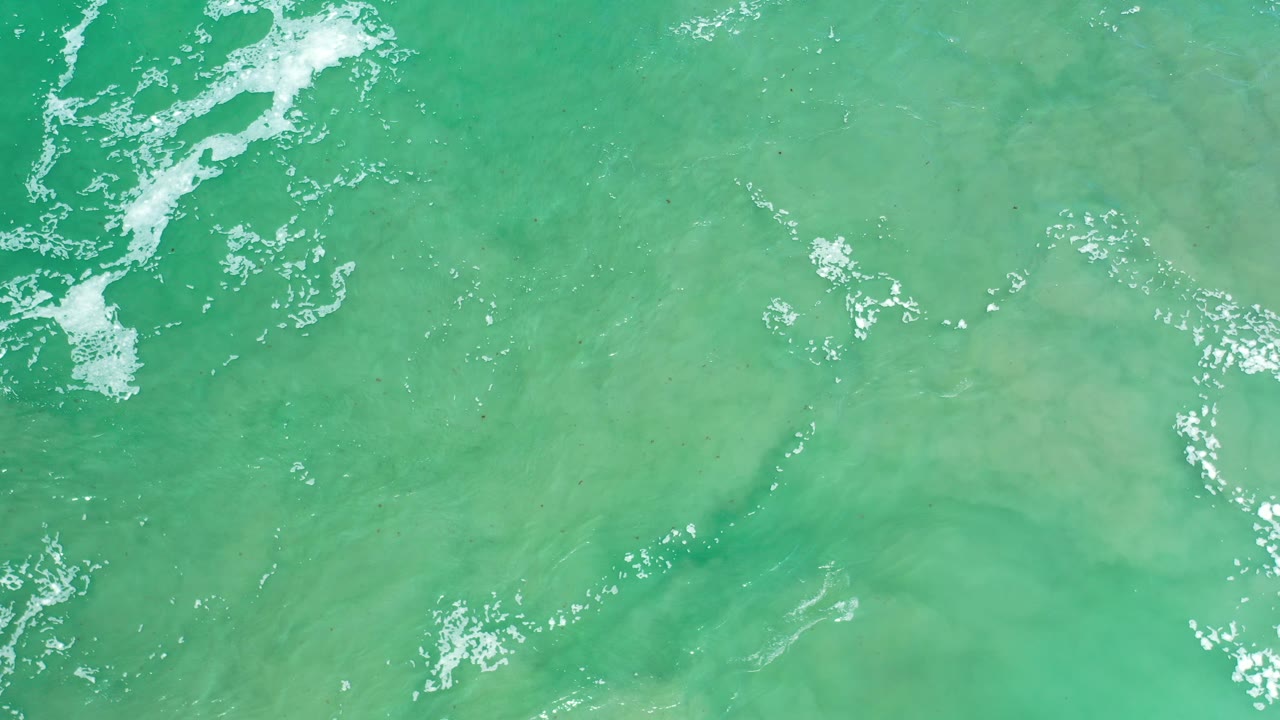 Green ocean surface with small foam clusters across the frame.