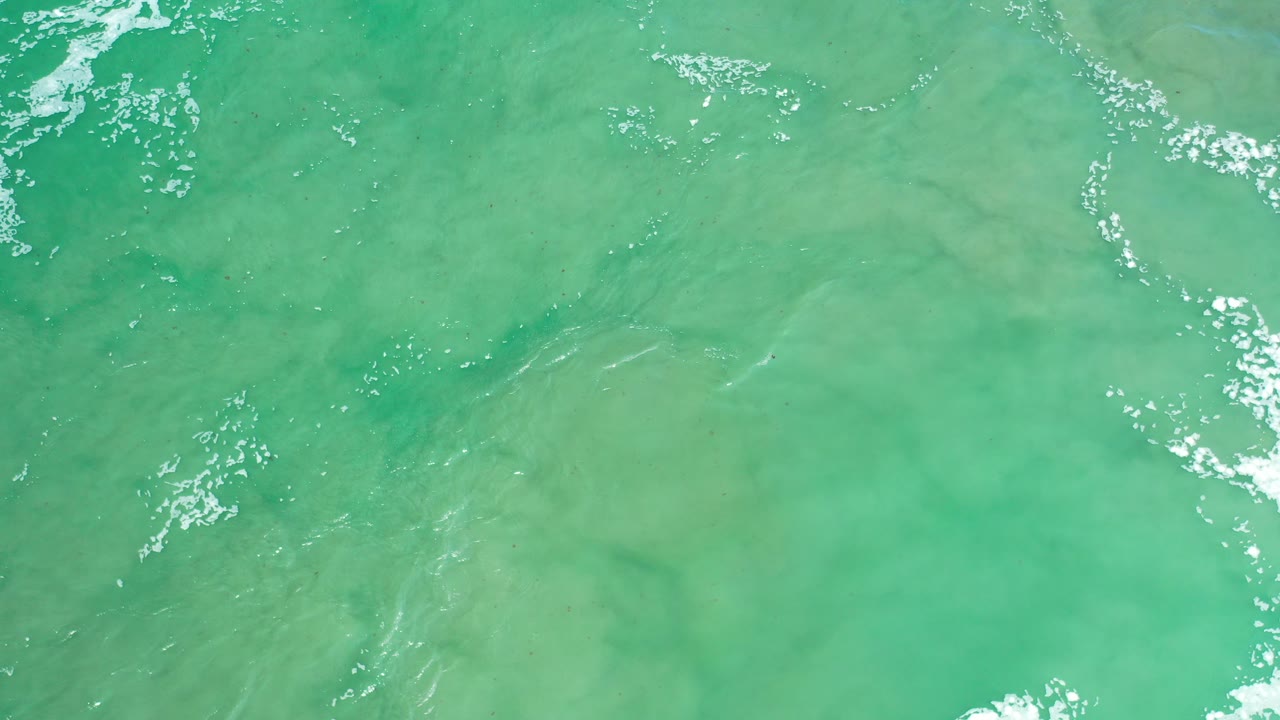 Green rippling seawater with small white foam streaks.