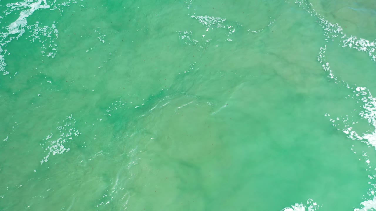 Green seawater fills the frame in Los Cabos, Mexico, with faint underwater tonal variation, small bright foam clusters, and no visible people.