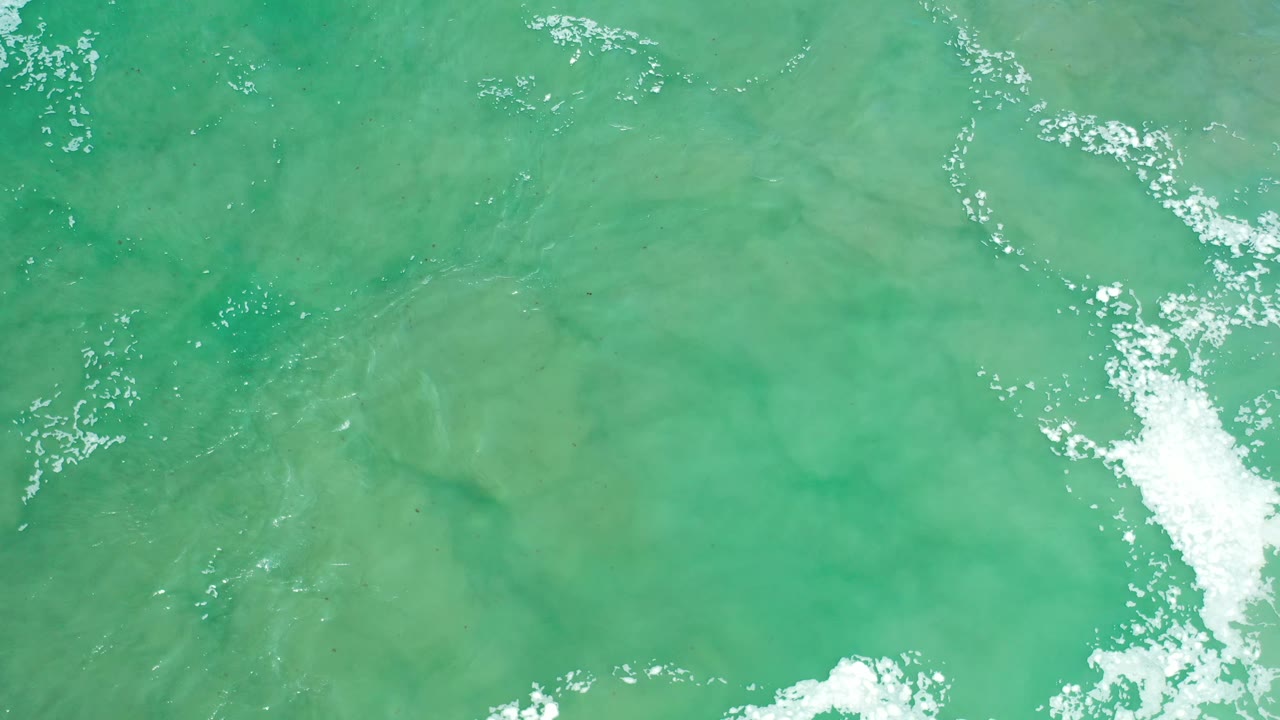 Green foamy water in Los Cabos, Mexico, with the sandy seabed visible beneath the surface and no visible people.