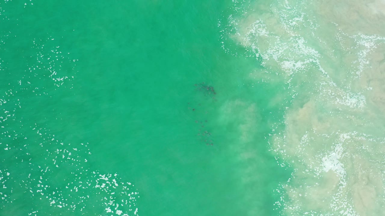 Overhead view of sea-green shallow water in Los Cabos, Mexico, with pale foamy surf along the right edge, sun sparkles on the left, and no visible people.