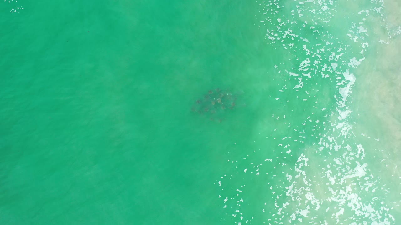 Overhead view in Los Cabos, Mexico, showing a sea turtle under turquoise shallow water with bright reflected surf foam along the right edge and no visible people.