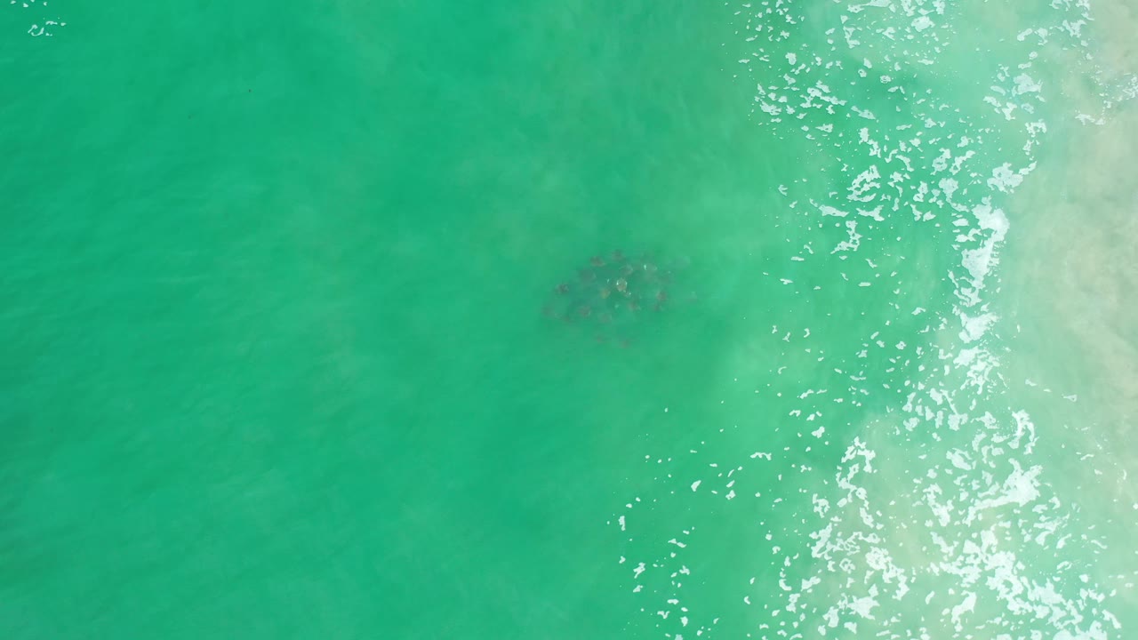 Aerial Los Cabos frame with the turtle slightly below center, green-blue water filling the scene, white sun glitter to the right, and no visible people.