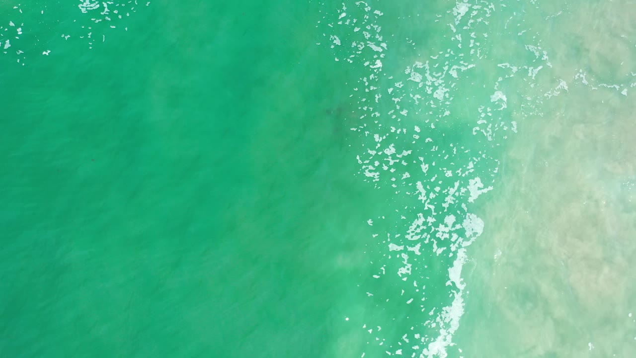 Overhead view of bright green ocean water in Los Cabos, Mexico, with white foam gathered near the pale surf wash on the right and no visible people.