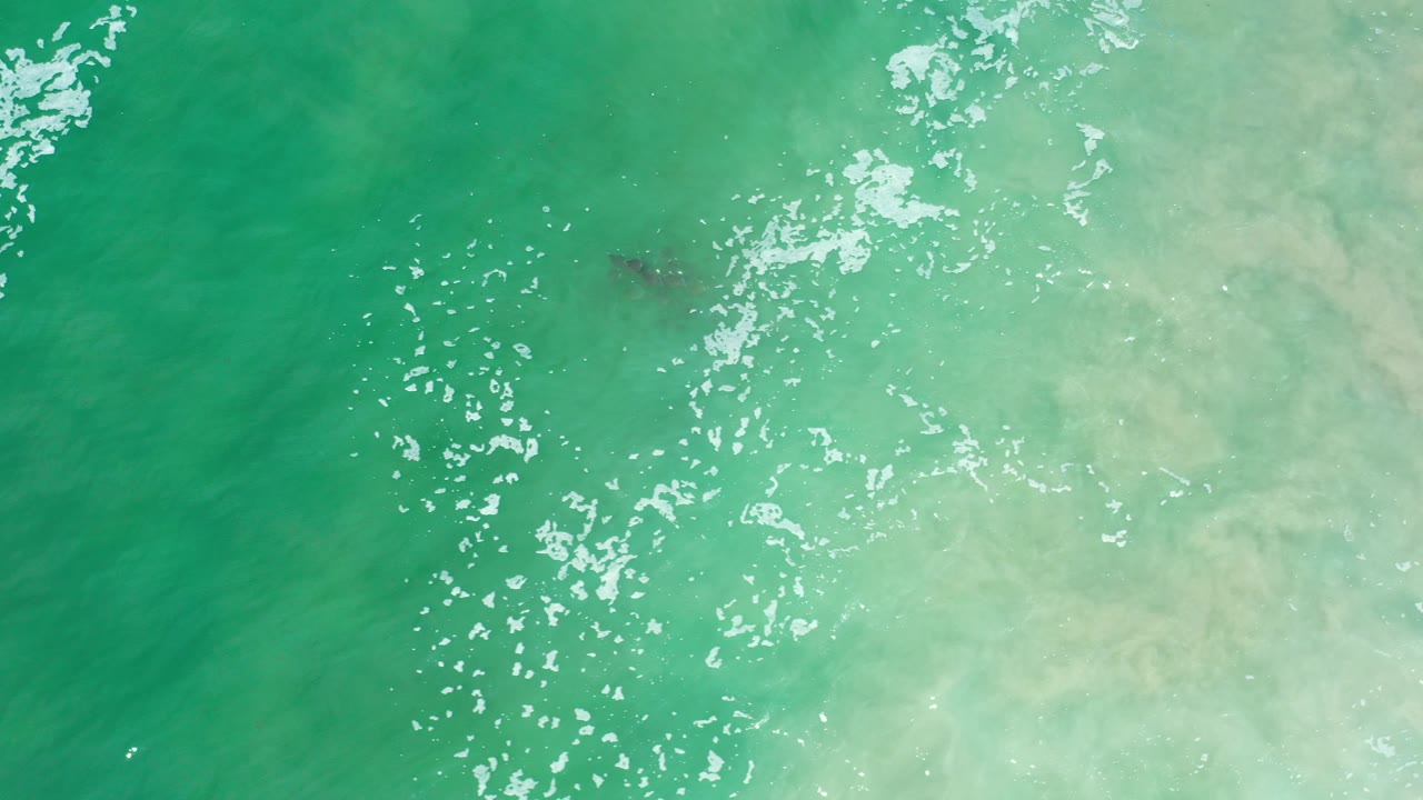 Top-down view of green Los Cabos seawater with scattered sun glints, pale underwater cloudiness on the right, and no visible people.