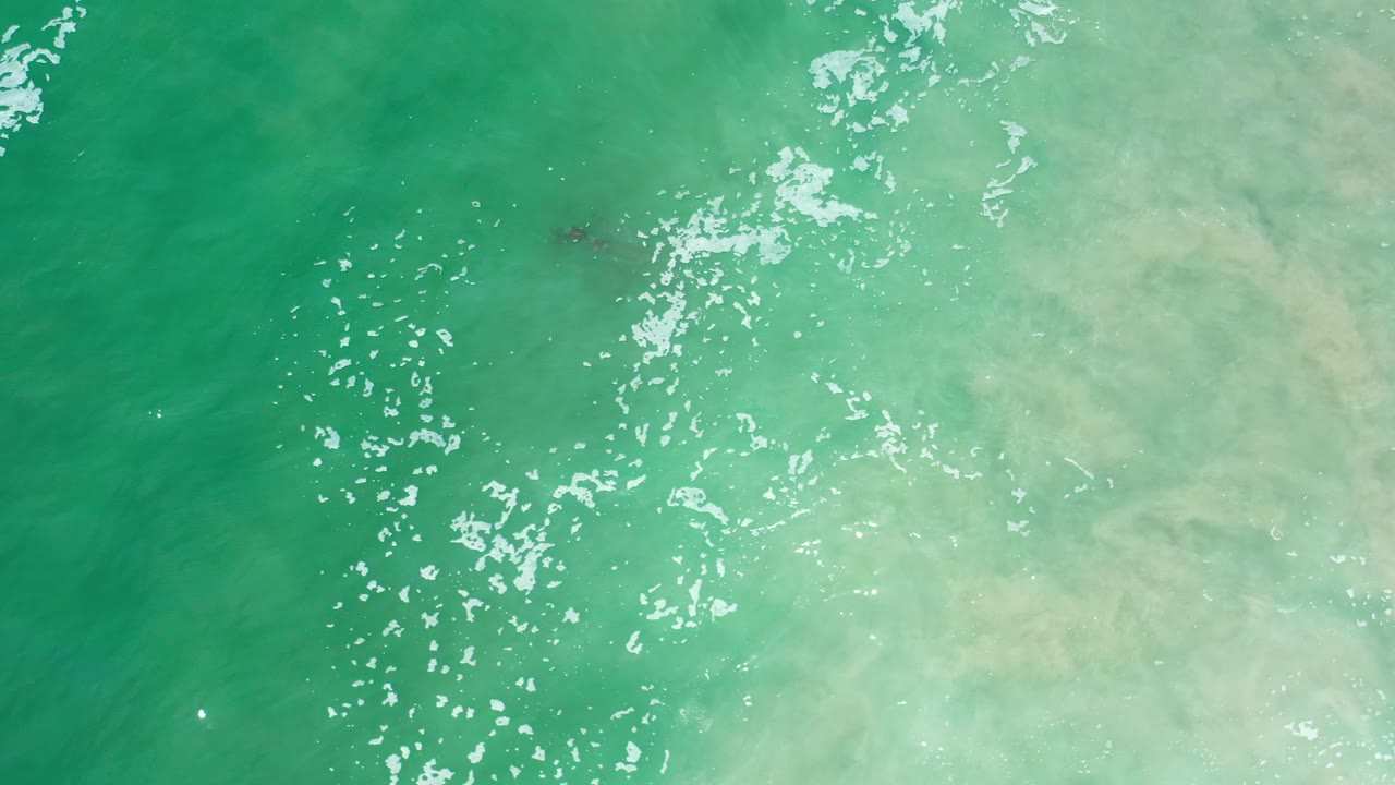 Green water with scattered white sparkle and cloudy pale shallows.