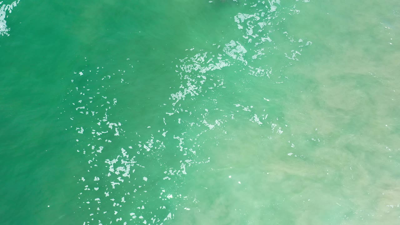 Green ocean surface with bright white flecks and pale water.