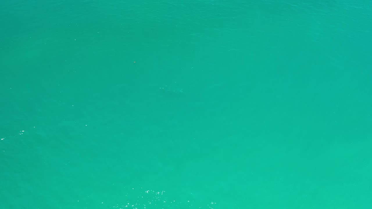 Turquoise ocean surface with faint ripples and sun glints.
