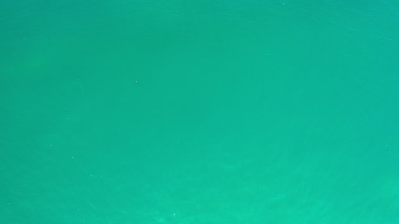 Clear green ocean water with a straight waterline