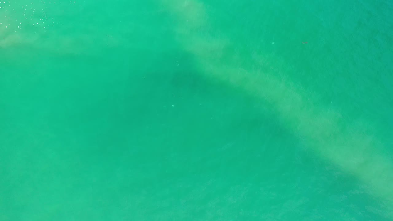 Clear green water fills the frame in Los Cabos, Mexico, with pale submerged patches showing beneath light surface movement and no visible people.