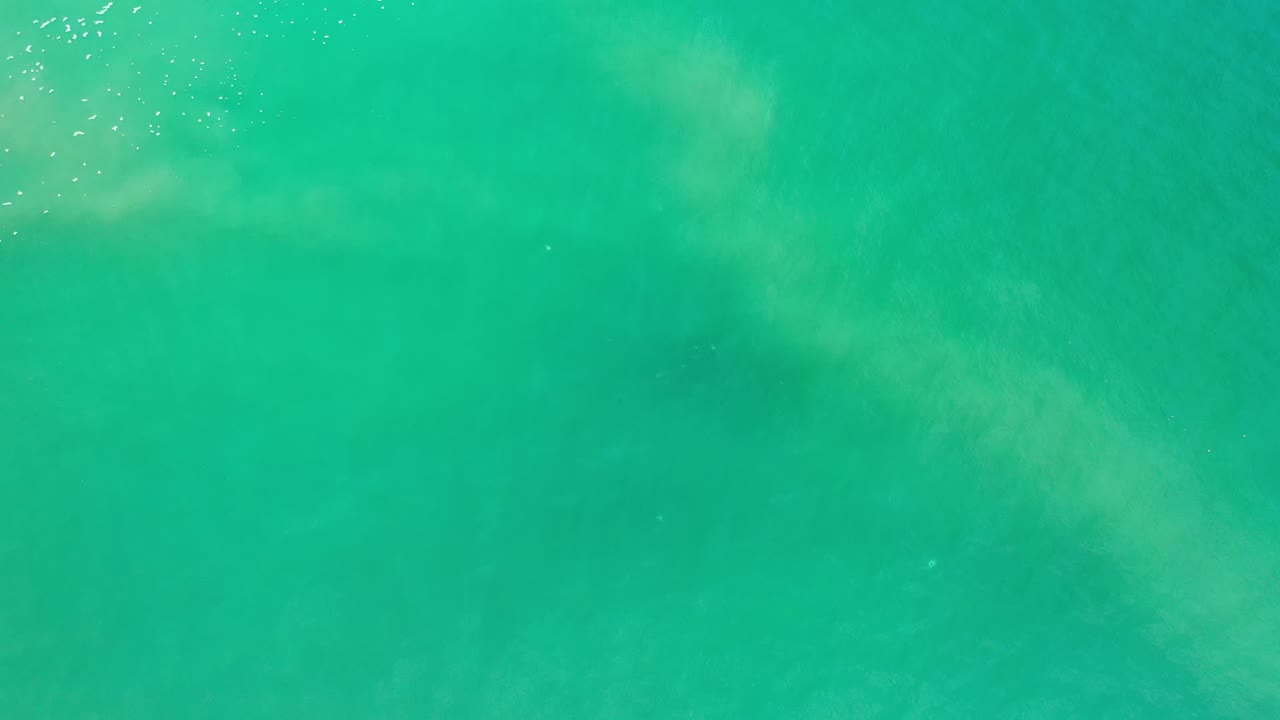 Green ocean surface in Los Cabos, Mexico, with faint milky patches below the water and small highlights near the upper edge, no visible people.
