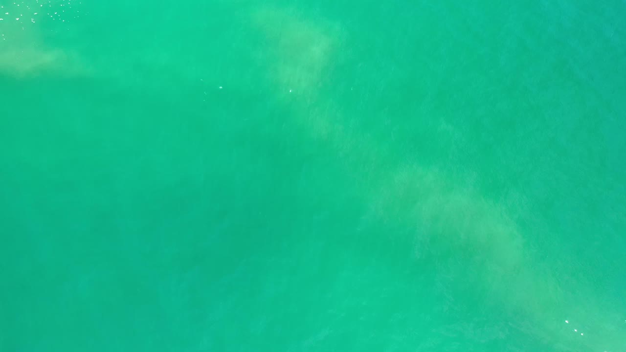 Clear green ocean water filling the frame.