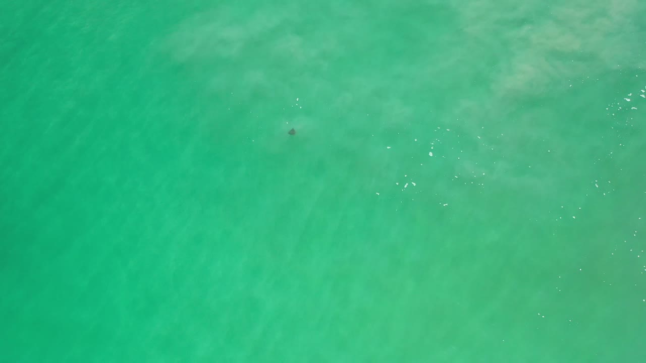 Overhead turquoise water with a small dark submerged shape near the upper left.