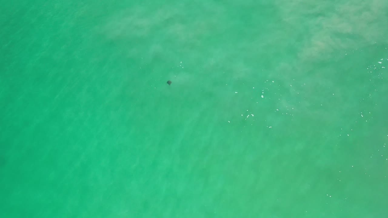 Overhead Los Cabos water frame with broad turquoise color, faint pale underwater patches, small surface highlights, and no visible people.